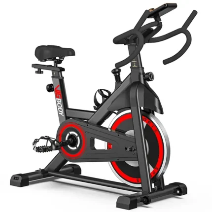 VIGBODY Stationary Exercise Bike
