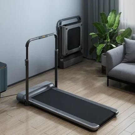 King Smith WalkingPad treadmill R1