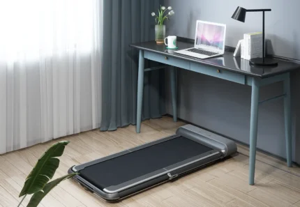 King Smith WalkingPad treadmill R1